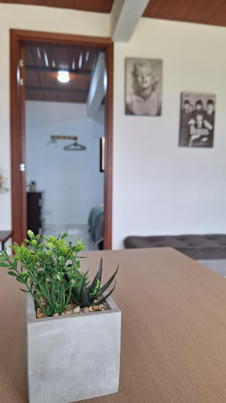 Apartment Aparta Estudio 101 Nuevo